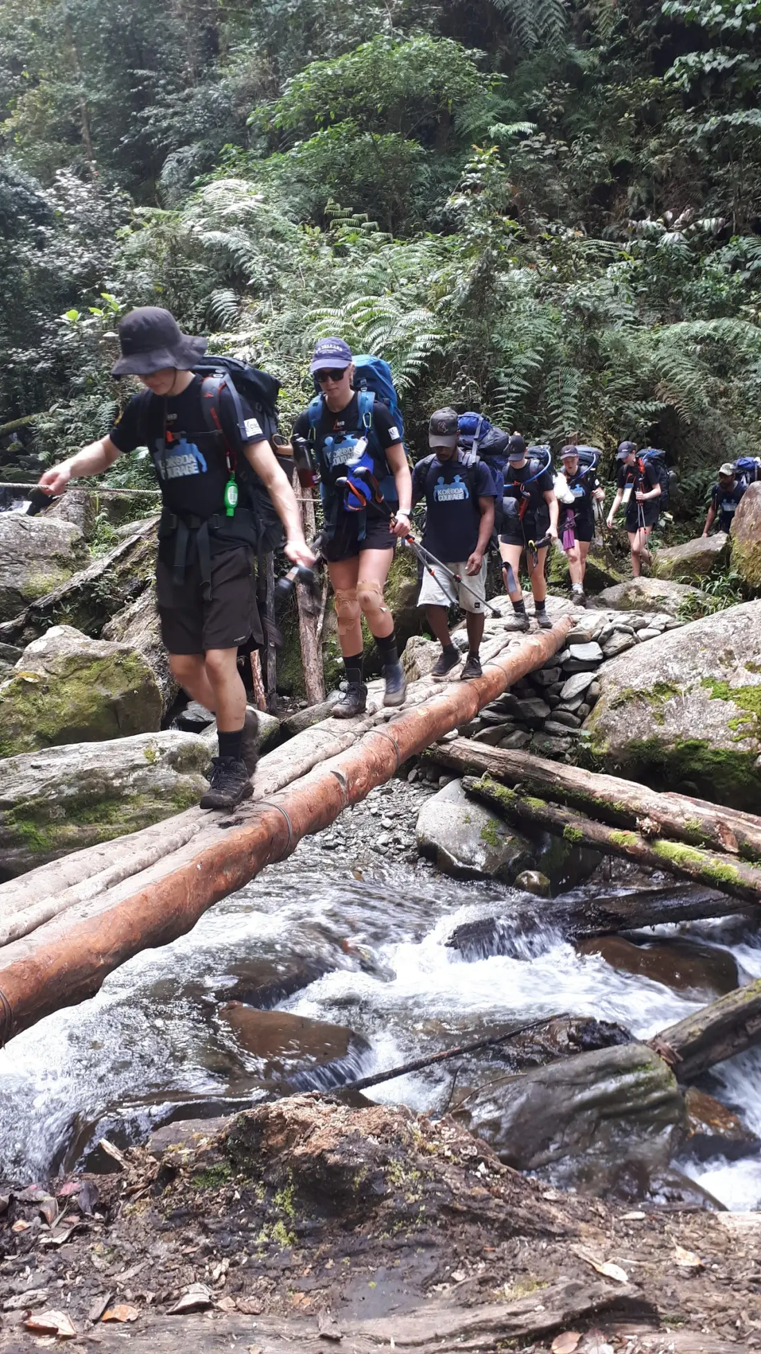 Kokoda Courage trekkers moving through rainforest terrain
